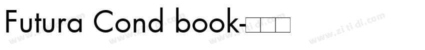 Futura Cond book字体转换